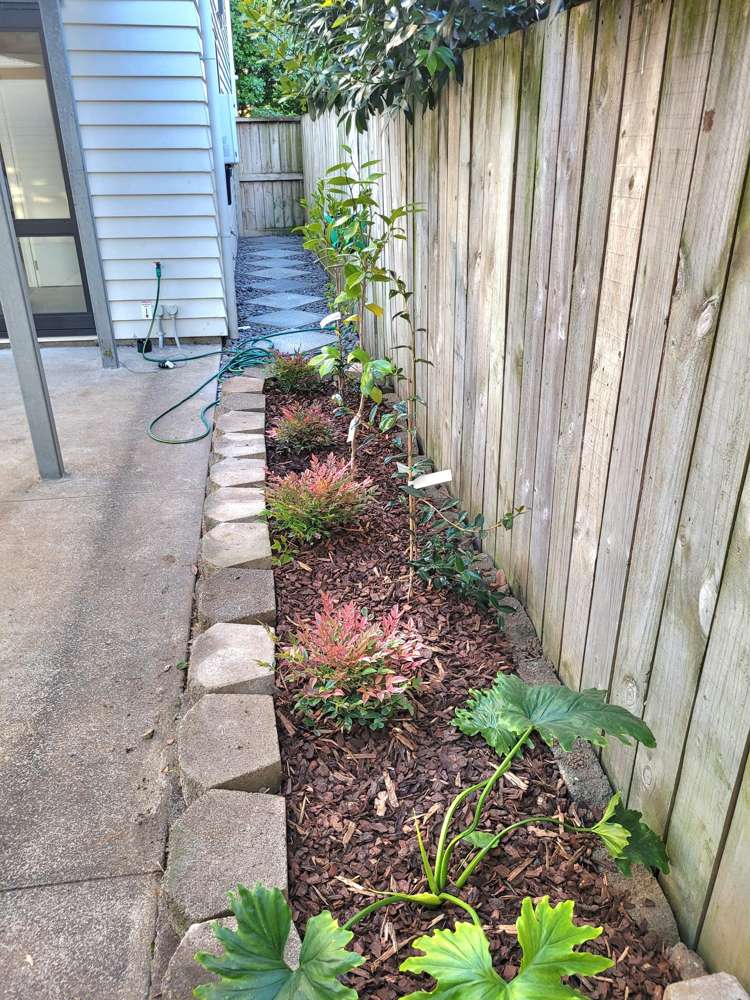 10 Mohua Avenue Takanini_15