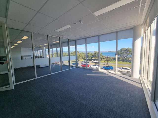 81 The Esplanade Petone_2