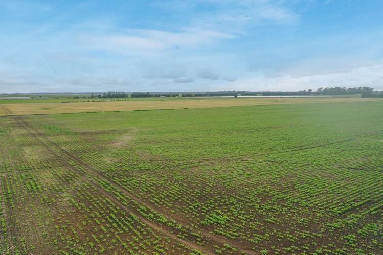 Burnham Road Temuka_8