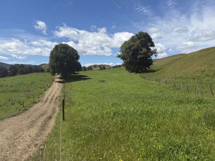 168 Matiere Road Aria_17