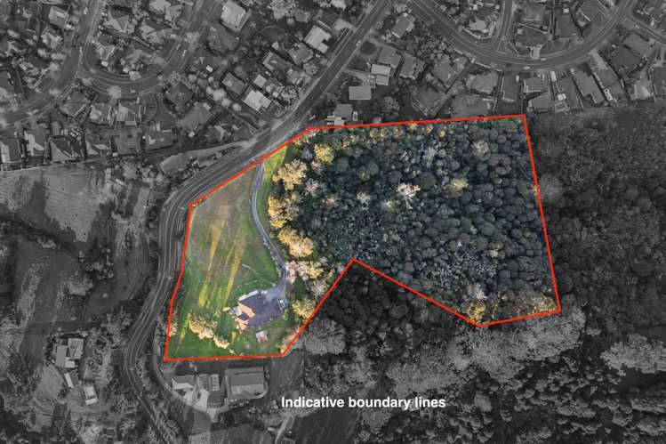 286 Sturges Road Henderson Heights_9