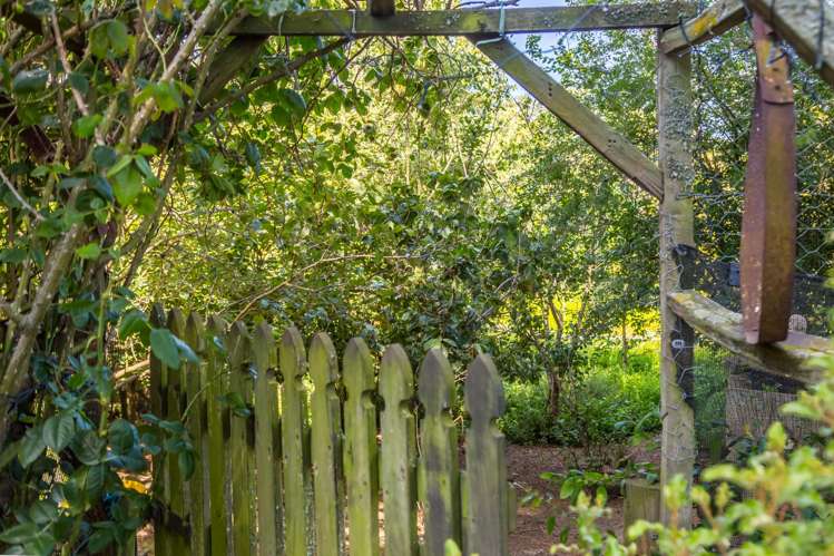 595 Wards Line Greytown_19