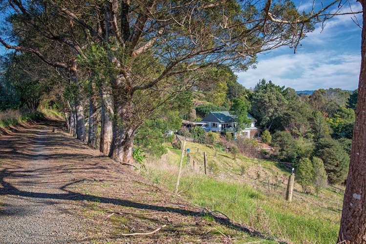 469 Kauri Road Onewhero_6