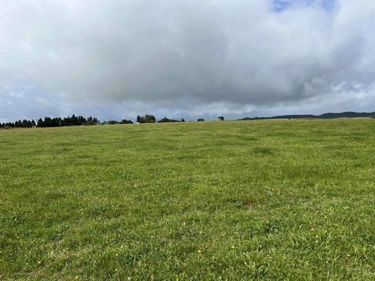 860 Egmont Road Hillsborough_27