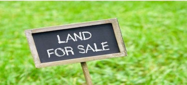 105a King Street Taradale_6