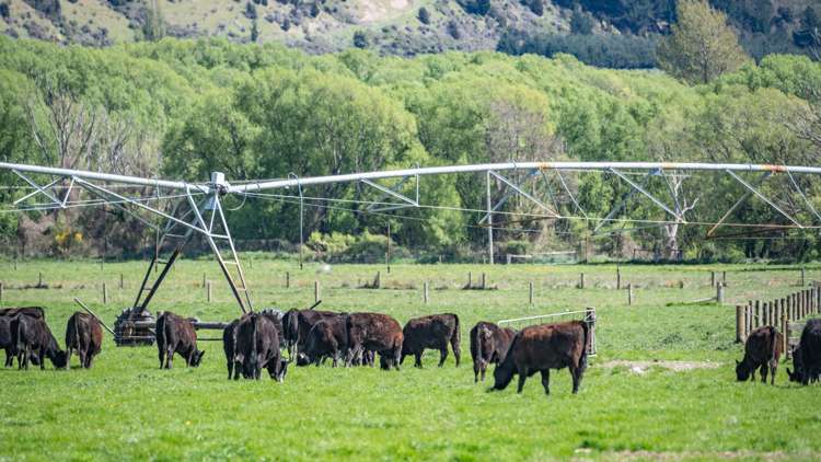 10 Chatterton Road Hanmer Springs_22