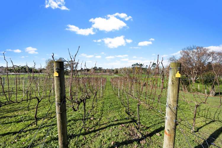 177 Taupaki Road Taupaki_25