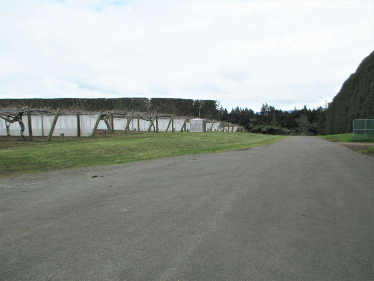 162 Waimea Drive Te Puke_20