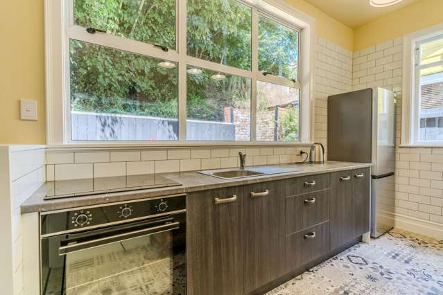 59 Serpentine Avenue Dunedin Central_1