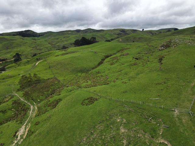 2256 Weber Road Dannevirke_1