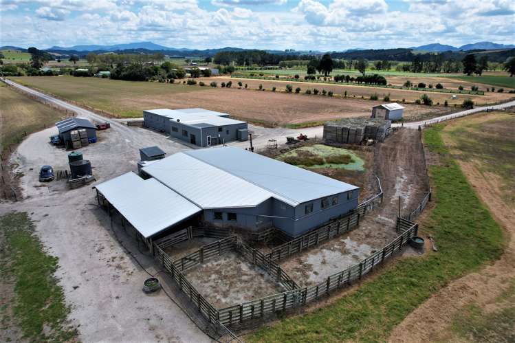 142 Awakino Point North Road Dargaville Surrounds_6