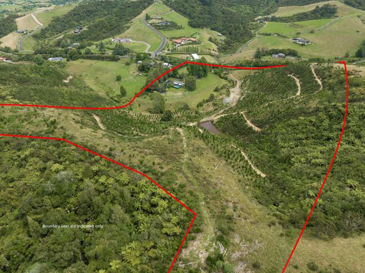 194 Skyhigh Road Hunua_24