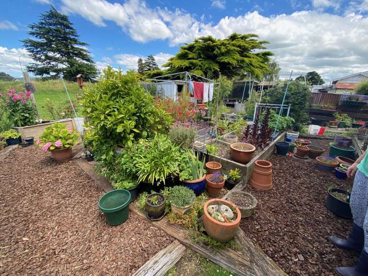 3 Rawhiti Street Dannevirke_14