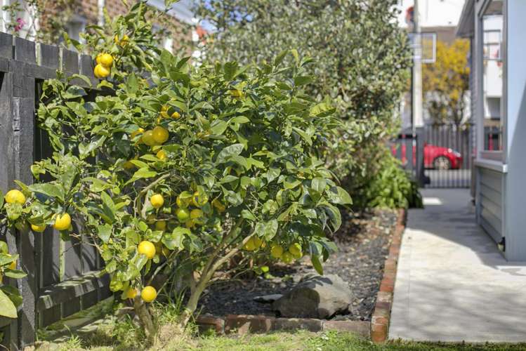 22 Tapiri Street Hataitai_23