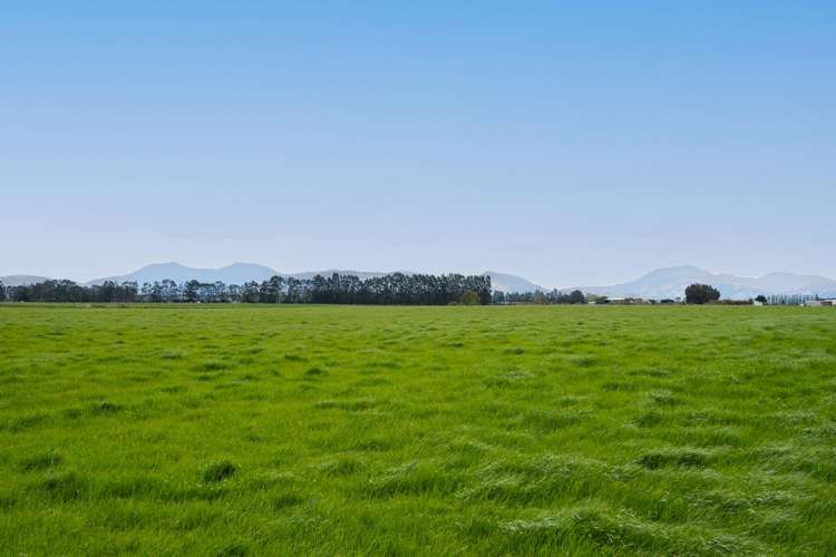 Warr Road. Balfour_1