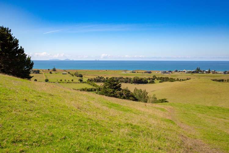 1905 Pataua North Road Pataua_14