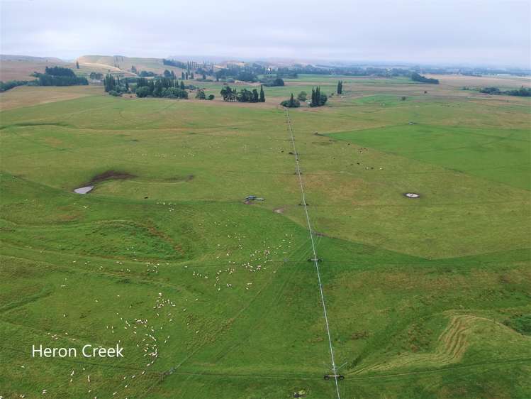 3389 State Highway 2 Takapau_13