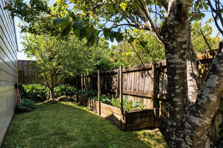 128b Karewa Parade Papamoa_10