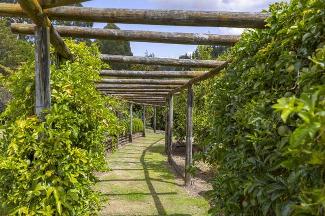 158 Whangamata Road Oruanui_4