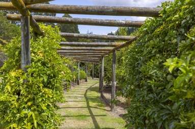 158 Whangamata Road_3