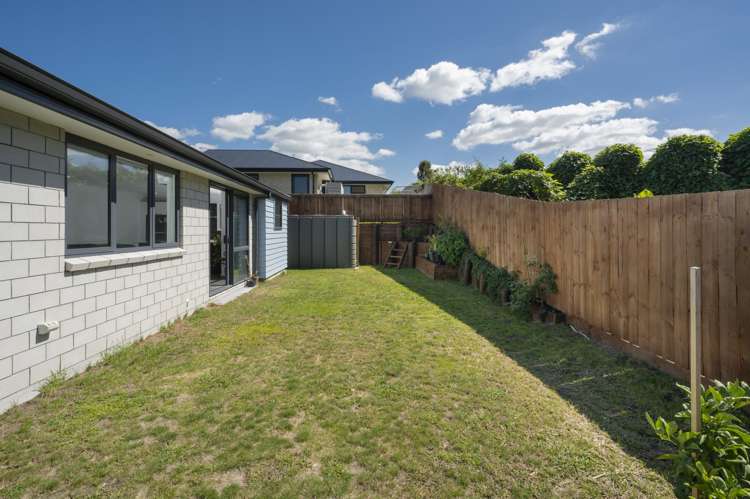 6 Pure Way Te Puke_15