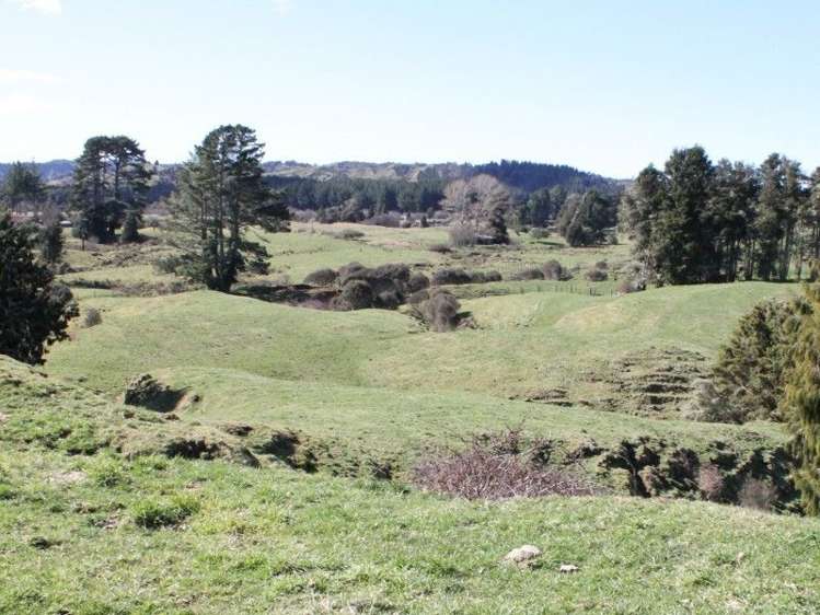 1427 Waitaanga Road Ohura_17