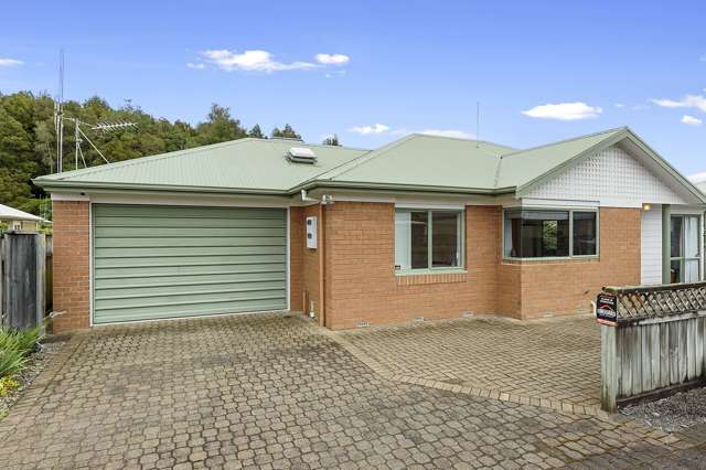 3b Pearsons Avenue Claudelands_1