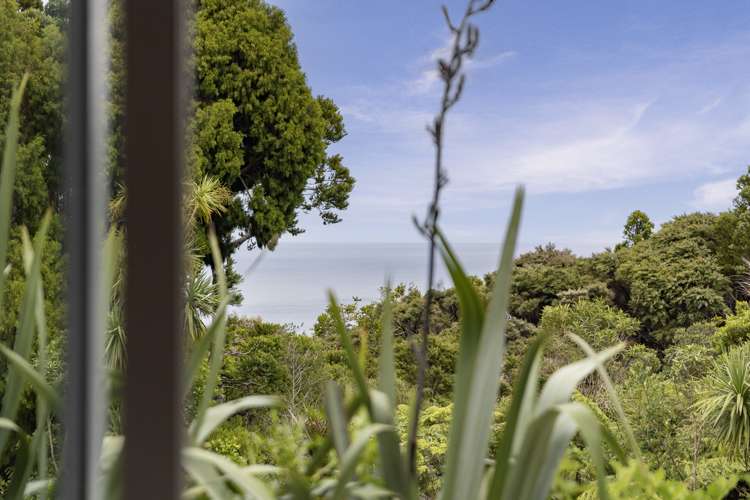 16 La Trobe Track Karekare_31