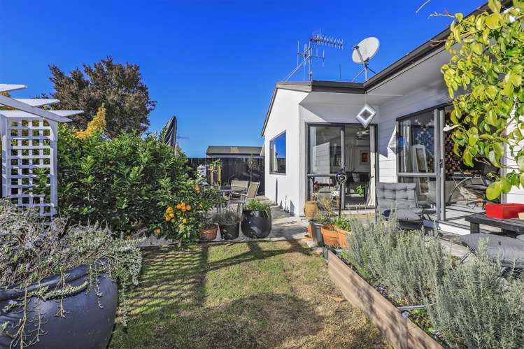 54a Elbourne Street Taradale_17