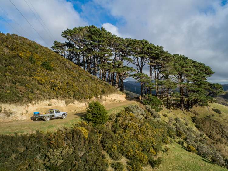 200 Parkvale Road Wilton_17