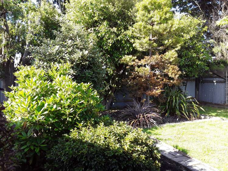 145 Gala Street Invercargill_5