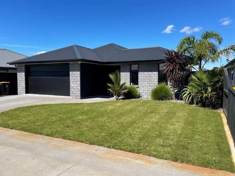 11 Fuller Street 1131_10