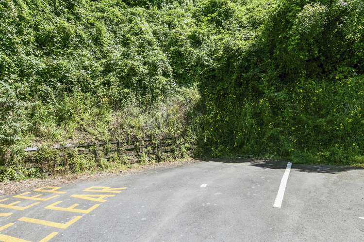 8/51 Adams Terrace Kelburn_8