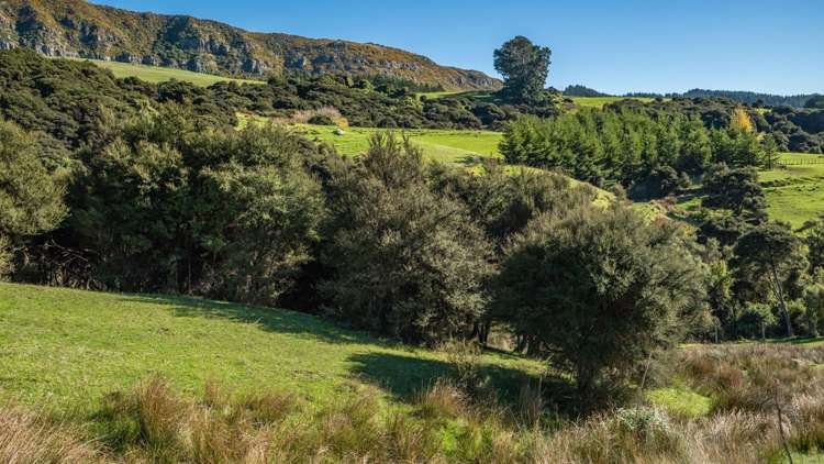 168-240 Purau Port Levy Road Purau_17