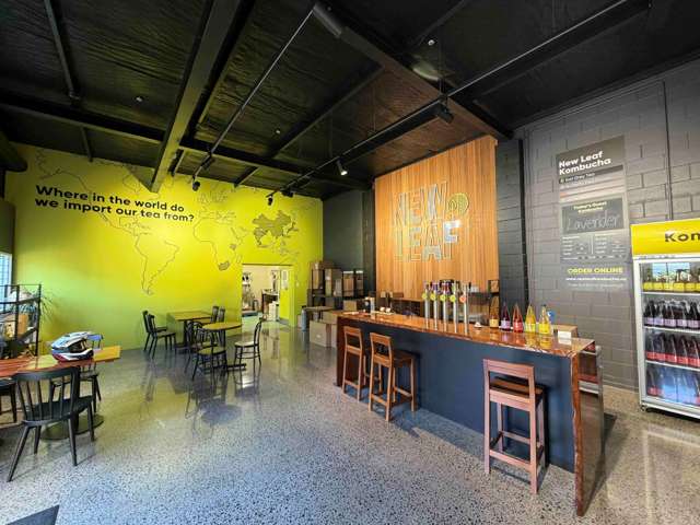 Suite A/37 Crummer Road Grey Lynn_2