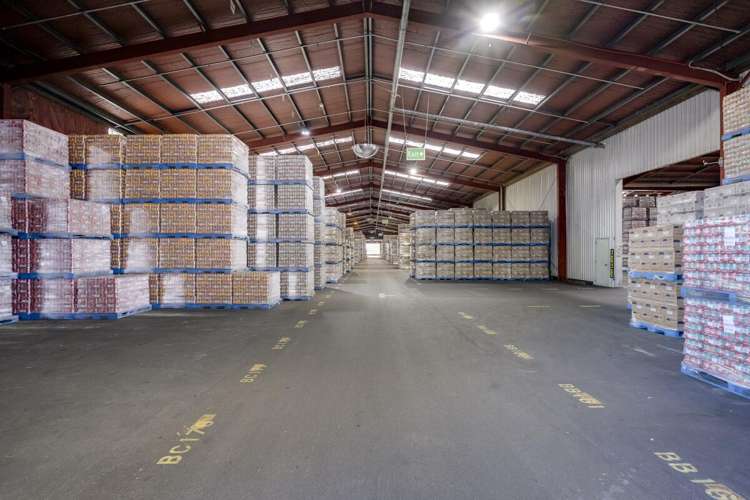 113 Elwood Road Tomoana_6