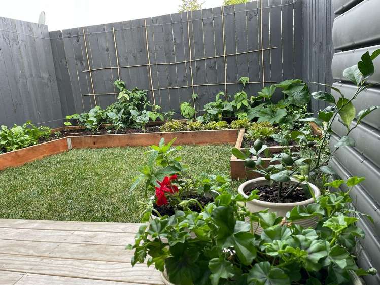 16/5 Hikurangi Street Te Atatu Peninsula_14