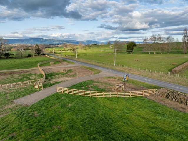 - Puketutu Road Matamata_2