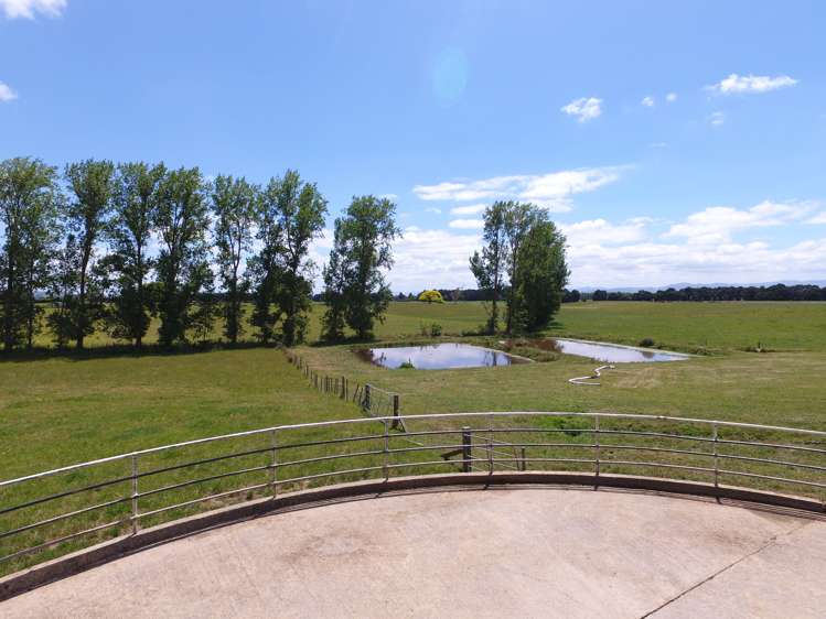 1318 Morrinsville-Tahuna Road Tahuna_18