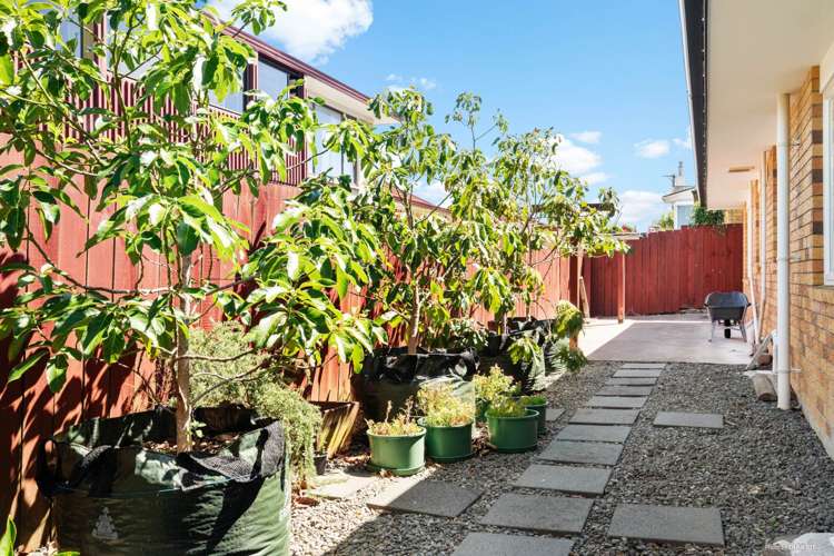 144b Bucklands Beach Road Bucklands Beach_21