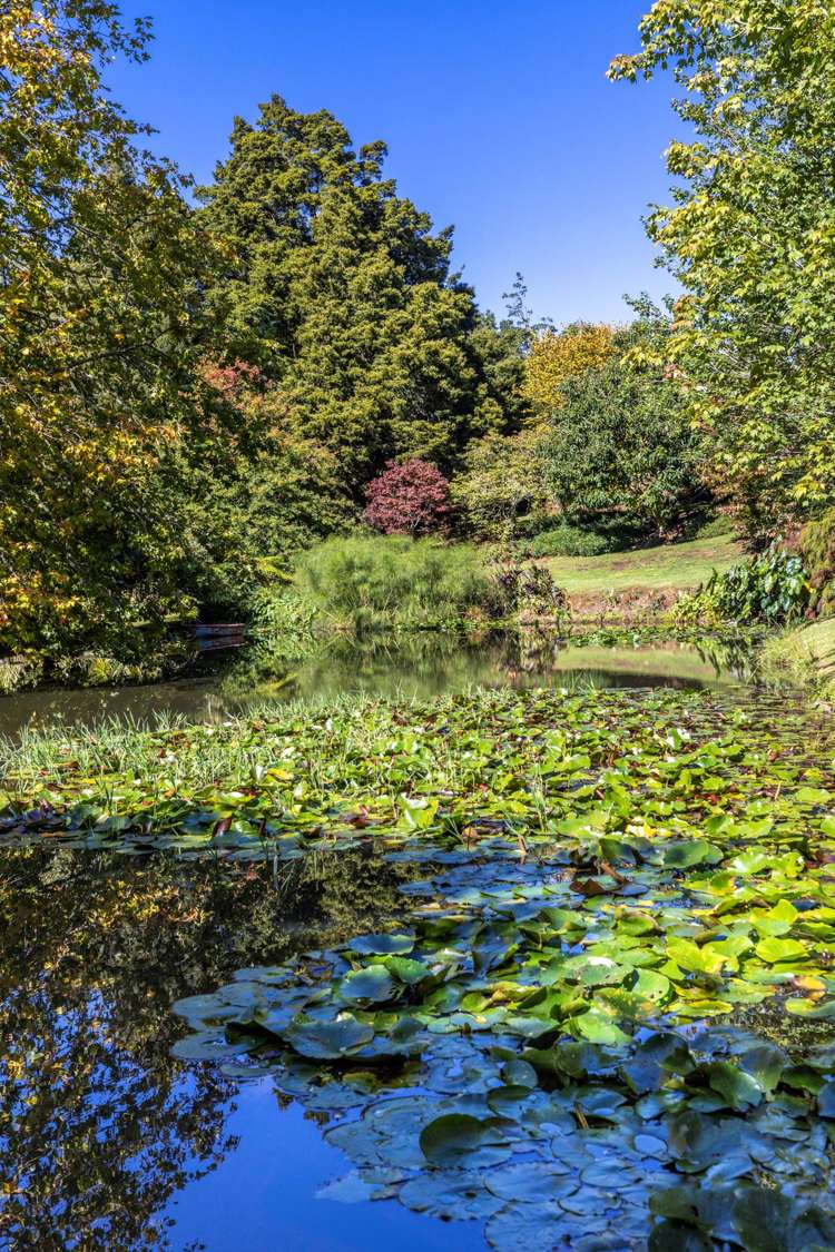 145b Helenslee Road Pokeno_45