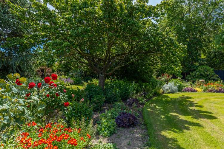 33 David Street Yelverton_18