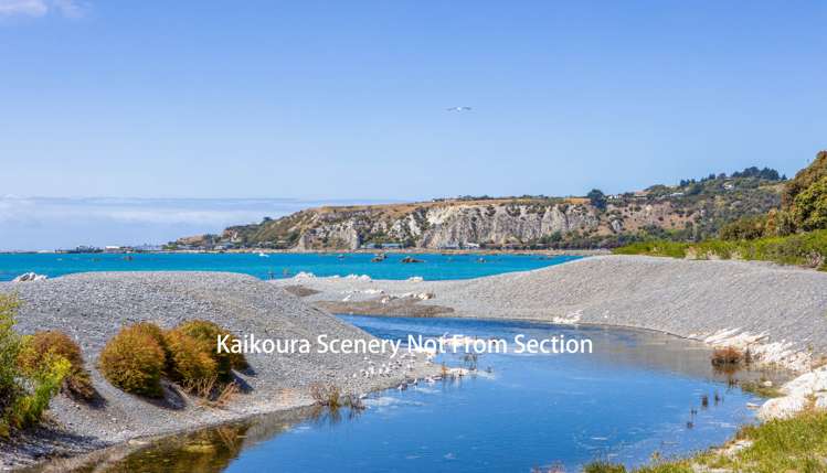 2 Lookers On Lane Kaikoura_17