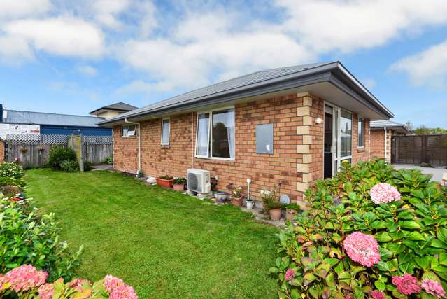 1/446 Ferry Road Woolston_2