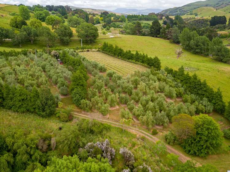 31 Whakarua Road Hinakura_1