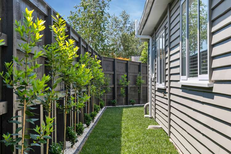 139b Fraser Street Tauranga South_24