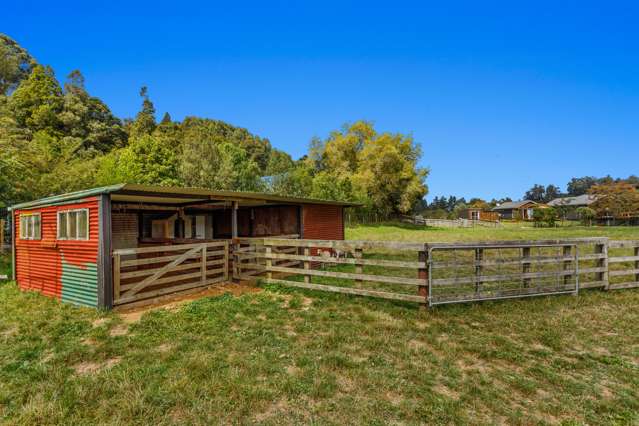 499a White Pine Bush Road Whakatane_3