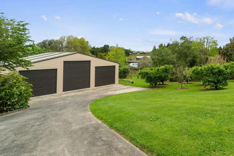 18 Molly Lane Te Awamutu_20