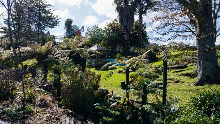 13 Walmsley Road Waihi_24