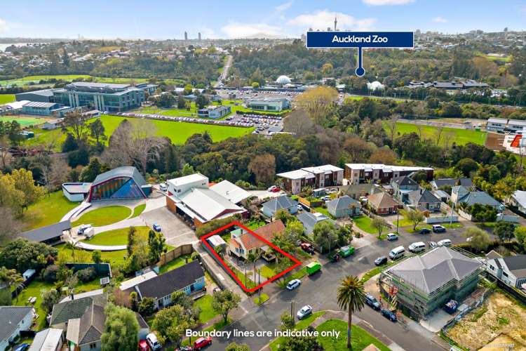 71 Premier Avenue Point Chevalier_14